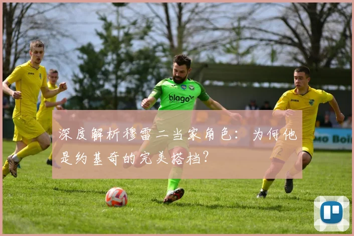深度解析穆雷二当家角色：为何他是约基奇的完美搭档？
